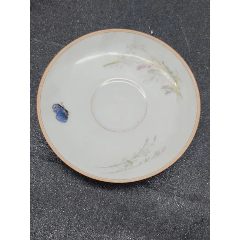 READ 2 ? Haviland Limoges ? Meadow Visitors Cup/Saucer Butterflies/Grasses